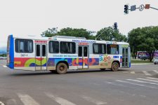 duas-linhas-de-onibus-vao-atender-populacao-da-regiao-sul-de-palmas-em-escala-de-emergencia-apos-empresa-suspender-servico