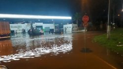 chuva-forte-em-rio-claro-derruba-arvore,-alaga-ruas-e-casas-e-afeta-abastecimento-de-agua