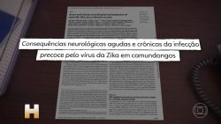 pesquisadores-sofrem-com-falta-de-investimento-em-pesquisas-de-ponta-nas-universidades-federais