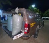 30-kg-de-maconha-sao-apreendidos-em-distribuidora-de-frutas-no-norte-da-bahia