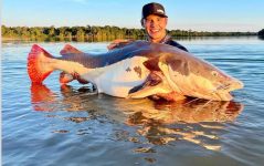 empresario-goiano-recebe-placa-de-recorde-mundial-apos-pescar-pirarara-de-mais-de-70kg;-video