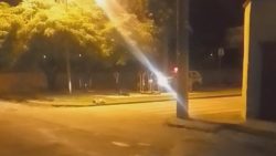 video:-dois-pitbulls-atacam-idoso-e-sao-mortos-a-tiros-pela-policia-em-praca-de-itauna