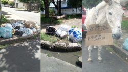 apos-paralisacao,-coleta-de-lixo-em-teresina-deve-ser-regularizada-nesta-segunda-(17);-moradores-reclamam-de-acumulo-de-materiais