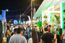 expogrande-vai-ter-entrada-franca-na-segunda,-terca,-quarta-e-domingo