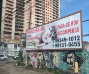 ‘procura-se-pedrinho’:-em-busca-de-gato-desaparecido,-casal-coloca-outdoor-em-belem-e-oferece-recompensa