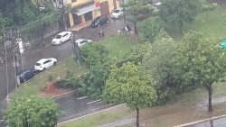 arvore-cai-e-pista-fica-parcialmente-bloqueada-na-avenida-garibaldi,-em-salvador