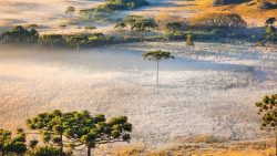 geada-muda-a-paisagem-em-amanhecer-proximo-de-0oc-na-serra-de-sc;-fotos