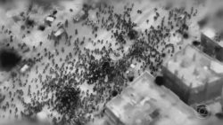 tumulto-durante-distribuicao-de-ajuda-humanitaria-em-gaza-termina-com-civis-mortos-e-feridos