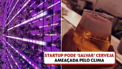 saiba-como-startup-espanhola-pode-ajudar-a-‘salvar’-cerveja-ameacada-pelo-clima