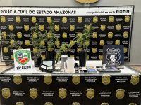 homem-e-preso-com-plantacao-de-maconha-em-casa-no-bairro-alvorada,-em-manaus