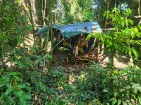 oito-homens-sao-presos-por-suspeita-de-caca-ilegal-em-ubatuba,-sp