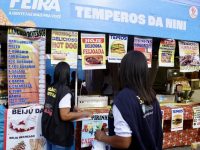 mais-de-300-espetos-de-madeira-e-60-litros-de-bebidas-sao-apreendidos-em-um-dia-de-micareta-na-bahia