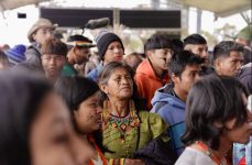 acampamento-indigena-terra-livre-comeca-nesta-segunda-feira,-em-brasilia