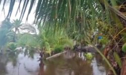 cerca-de-mil-indigenas-da-aldeia-novos-guerreiros-ficam-desalojados-apos-forte-chuva-que-atingiu-o-extremo-sul-da-bahia