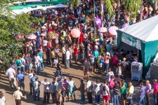 mutirao-de-prevencao-ao-cancer-sera-realizado-em-montes-claros-nesta-sexta-feira-(14)