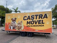 saiba-como-agendar-castracao-de-caes-e-gatos-em-volta-redonda