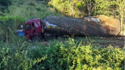 caminhoneiro-morre-e-passageiro-fica-ferido-em-acidente-na-mgc-342,-em-salinas