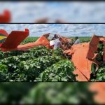 piloto-sobrevive-apos-aviao-cair-e-ficar-destruido-em-mt;-veja-video