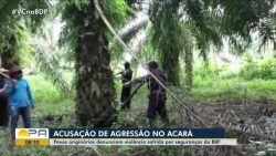 quilombolas-denunciam-violencia-de-segurancas-armados-e-encapuzados-dentro-de-fazenda,-no-interior-do-para