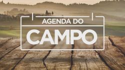 agenda-do-campo:-vejas-as-atividades-programadas-para-a-area-rural-do-pr-entre-16-a-23-de-abril