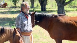 encantadores-de-cavalos:-familia-argentina-pratica-arte-de-amansar-que-busca-conexao-com-o-animal