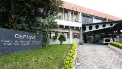 cephas-esta-com-2.500-vagas-abertas-para-oito-cursos-a-distancia-gratuitos