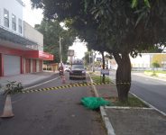 homem-morre-apos-cair-de-arvore-na-avenida-joaquim-nelson,-em-teresina