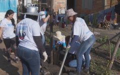 mutirao-reune-70-voluntarios-para-construir-cinco-casas-em-dois-dias,-em-aparecida-de-goiania