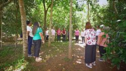 estudo-comprova-a-cura-de-doencas-cronicas-pela-meditacao;-o-desafio-e-fazer-quem-nao-medita-passar-a-meditar,-diz-medico