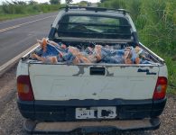 caminhao-carregado-de-milho-tomba-na-pista-e-motoristas-acabam-presos-por-furto-de-carga-em-mirante-do-paranapanema