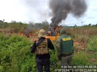 da-fiscalizacao-ao-crime-organizado:-o-que-precisa-ser-feito-sobre-os-desafios-ambientais