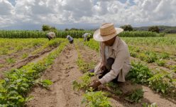 cidade-empreendedora-promove-o-associativismo-e-fortalece-pequenos-produtores