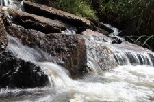 estudo-indica-melhora-na-qualidade-da-agua-do-rio-balainho,-em-suzano;-tiete-permanece-‘ruim’-no-alto-tiete