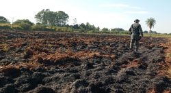 assentada-e-autuada-em-r$-1,1-mil-por-fazer-uso-de-fogo-em-area-de-vegetacao-de-mais-de-1-hectare,-em-rosana