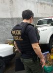 policia-federal-e-policia-ambiental-realizam-acao-para-coibir-o-comercio-ilegal-de-animais-em-mogi