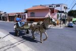 camara-municipal-aprova-projeto-de-lei-que-adianta-prazo-para-fim-das-carrocas-em-belo-horizonte