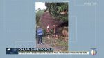 prefeitura-de-petropolis-afirma-que-vai-incluir-moradores-do-inga,-no-distrito-da-posse,-no-aluguel-social