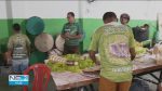 videos:-ne2-de-terca-feira,-23-de-janeiro-de-2024