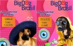 big-dog-brasil:-acao-inspirada-em-reality-show-promove-a-adocao-de-animais-em-goiania