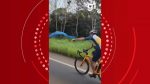 video:-arara-caninde-e-vista-voando-ao-lado-de-ciclista-durante-percurso-de-130-km-em-mt