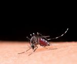 terceira-morte-por-dengue-e-registrada-no-vale-do-ribeira,-sp