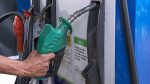 acelen-anuncia-aumento-de-5,1%-no-preco-da-gasolina-vendida-para-distribuidoras-na-bahia