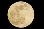 ‘lua-cheia-rosa’-podera-ser-vista-nesta-terca-feira-no-brasil